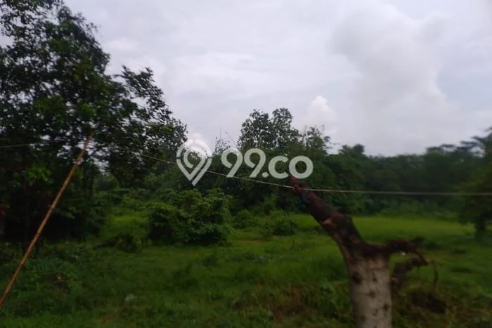 Tanah Strategis Dijual di Batang Batang 4330m2 Tanah Strategis Dijual di Batang Batang 4330m2