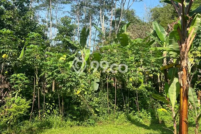 Tanah Dijual di Bandung Seluas 1160m2 Strategis Tanah Dijual di Bandung Seluas 1160m2 Strategis