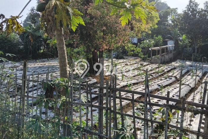 Kavling Tanah Dijual di Cisarua, Bandung Barat, Luas 684m2 Area Strategis Kavling Tanah Dijual di Cisarua, Bandung Barat, Luas 684m2 Area Strategis
