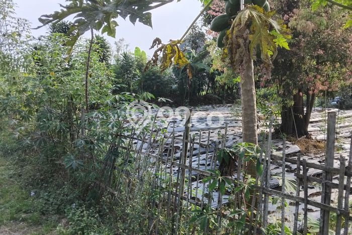 Kavling Tanah Dijual di Cisarua, Bandung Barat, Luas 684m2 Area Strategis Kavling Tanah Dijual di Cisarua, Bandung Barat, Luas 684m2 Area Strategis