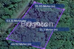 Untuk Dijual Tanah di Bitung, Luas 1000m2 SHM Untuk Dijual Tanah di Bitung, Luas 1000m2 SHM