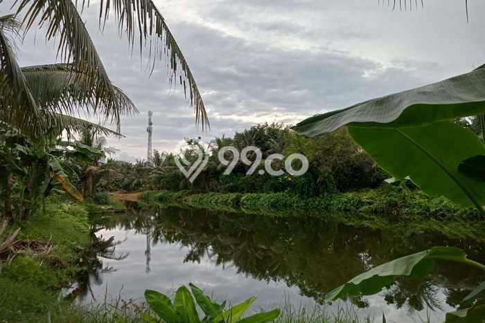 Jarang Ada! Tanah di Percut Sei Tuan Punya Luas 60000m2 - Jarang Ada! Tanah di Percut Sei Tuan Punya Luas 60000m2 -