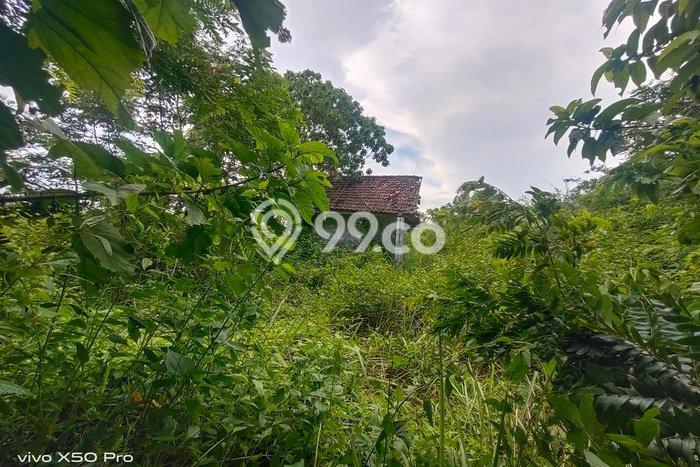 Lahan Dijual Lokasi Curugbitung, Lebak dengan Luas Tanah 20000m2 dan Status SHM Lahan Dijual Lokasi Curugbitung, Lebak dengan Luas Tanah 20000m2 dan Status SHM