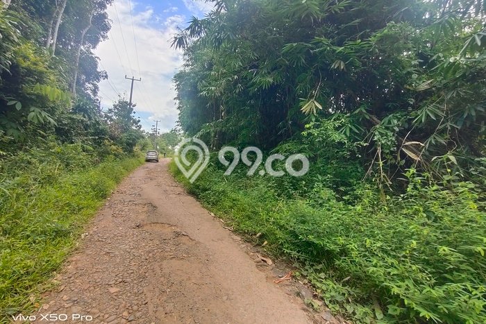 Lahan Dijual Lokasi Curugbitung, Lebak dengan Luas Tanah 20000m2 dan Status SHM Lahan Dijual Lokasi Curugbitung, Lebak dengan Luas Tanah 20000m2 dan Status SHM
