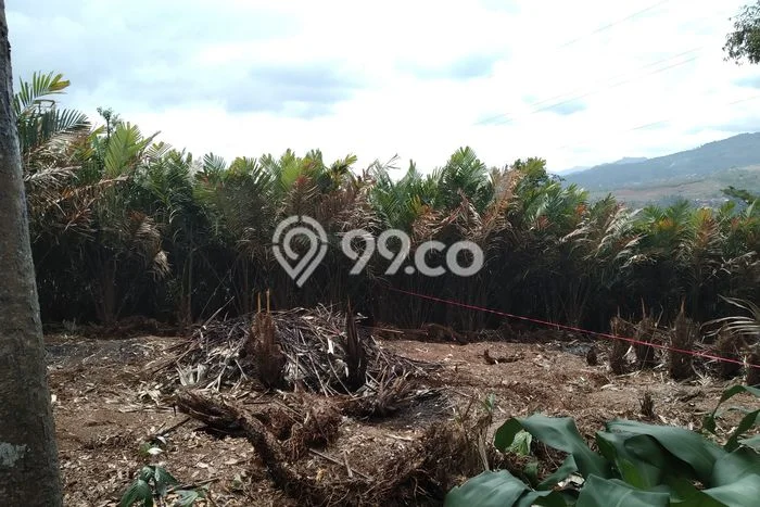 Lahan Strategis di Pamulihan Dijual dengan Luas 250000m2 Lahan Strategis di Pamulihan Dijual dengan Luas 250000m2