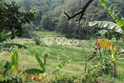 Kavling Tanah di Campaka Dijual Luas 70000m2 Legalitas SHM Kavling Tanah di Campaka Dijual Luas 70000m2 Legalitas SHM