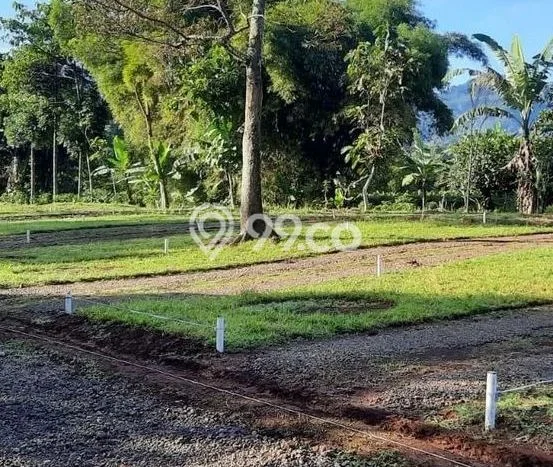 Lahan Kosong Dijual di Subang dengan Area 34462m2 Lahan Kosong Dijual di Subang dengan Area 34462m2