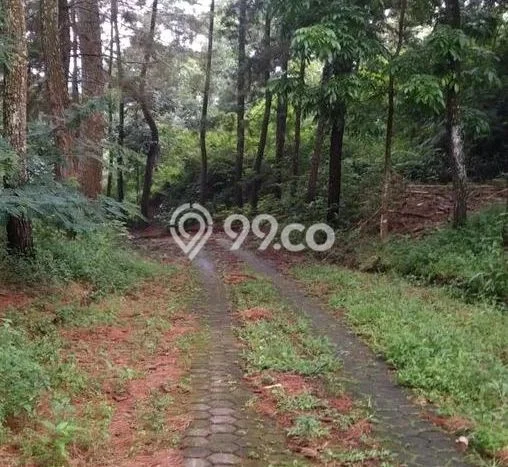 Lahan Strategis di Cipanas Dijual dengan Luas 170000m2 Lahan Strategis di Cipanas Dijual dengan Luas 170000m2
