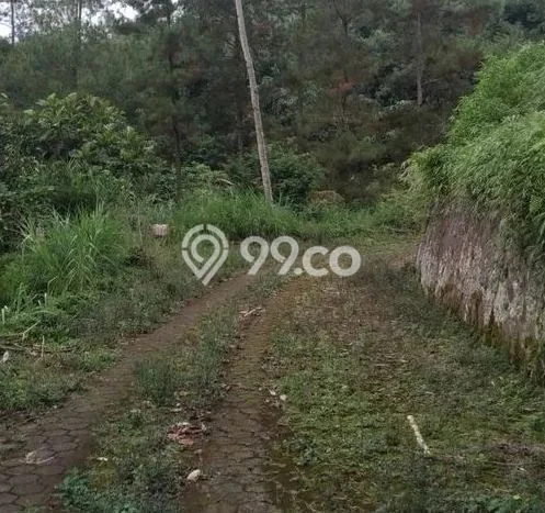 Lahan Strategis di Cipanas Dijual dengan Luas 170000m2 Lahan Strategis di Cipanas Dijual dengan Luas 170000m2