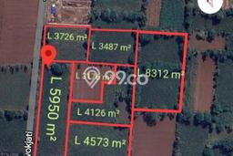 Kavling Tanah di Singosari Dijual Luas 37892m2 Legalitas SHM Kavling Tanah di Singosari Dijual Luas 37892m2 Legalitas SHM