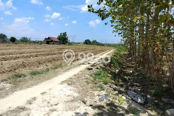Lahan Dijual Lokasi Kedamean, Gresik dengan Luas Tanah 3180m2 dan Status SHM Lahan Dijual Lokasi Kedamean, Gresik dengan Luas Tanah 3180m2 dan Status SHM
