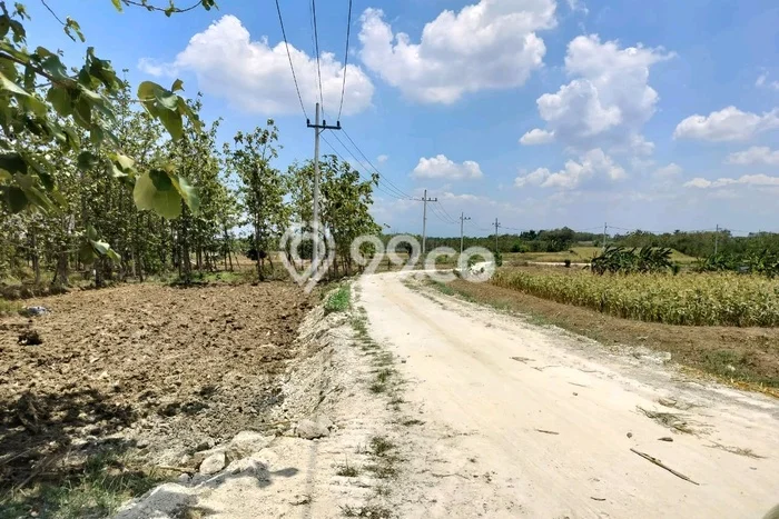 Lahan Dijual Lokasi Kedamean, Gresik dengan Luas Tanah 3180m2 dan Status SHM Lahan Dijual Lokasi Kedamean, Gresik dengan Luas Tanah 3180m2 dan Status SHM