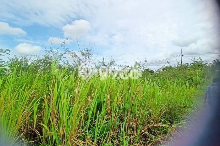 Lahan Kosong Dijual di Samarinda dengan Area 7019m2 Lahan Kosong Dijual di Samarinda dengan Area 7019m2