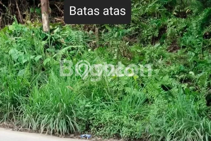 Tanah Kavling Dijual di Samarinda Kunjang, Samarinda dengan Luas Tanah 2553m2 Tanah Kavling Dijual di Samarinda Kunjang, Samarinda dengan Luas Tanah 2553m2