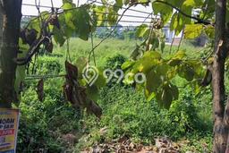 Lahan Dijual Lokasi Kebomas, Gresik dengan Luas Tanah 4000m2 dan Status SHM Lahan Dijual Lokasi Kebomas, Gresik dengan Luas Tanah 4000m2 dan Status SHM