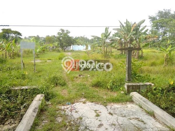 Lahan Investasi Lokasi Mijen Demak - Lahan Investasi Lokasi Mijen Demak -
