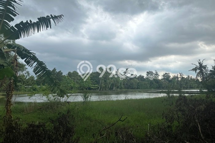 Kavling Tanah di Karawang Timur Dijual Luas 16500m2 Legalitas SHM Kavling Tanah di Karawang Timur Dijual Luas 16500m2 Legalitas SHM