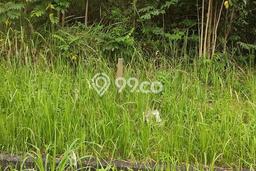 Lahan Investasi Lokasi Lippo Cikarang Cikarang - Lahan Investasi Lokasi Lippo Cikarang Cikarang -