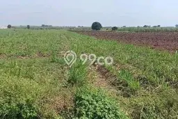 Kavling Tanah untuk Dijual di Mojokerto, Mojokerto, Luas 13000m2 Kavling Tanah untuk Dijual di Mojokerto, Mojokerto, Luas 13000m2