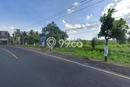 Kavling Tanah di Kerambitan Dijual Luas 23430m2 Legalitas SHM Kavling Tanah di Kerambitan Dijual Luas 23430m2 Legalitas SHM