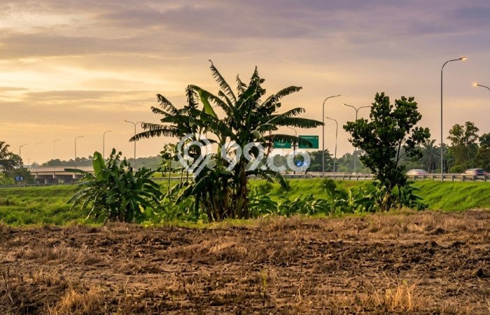 Tanah di Kedamean, Gresik Luas 35000m2 Dijual Segera Tanah di Kedamean, Gresik Luas 35000m2 Dijual Segera