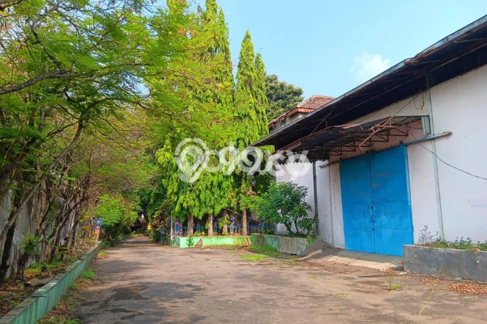 Lokasi Strategis! Dijual Gudang Bisnis di Sukorejo, Pasuruan Kondisi Bagus Lokasi Strategis! Dijual Gudang Bisnis di Sukorejo, Pasuruan Kondisi Bagus