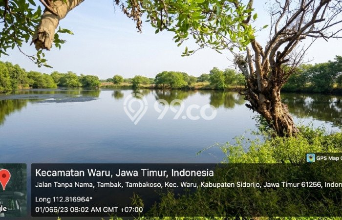 Kavling Tanah Dijual di Waru Sidoarjo Spesifikasi 16000m2 Kavling Tanah Dijual di Waru Sidoarjo Spesifikasi 16000m2
