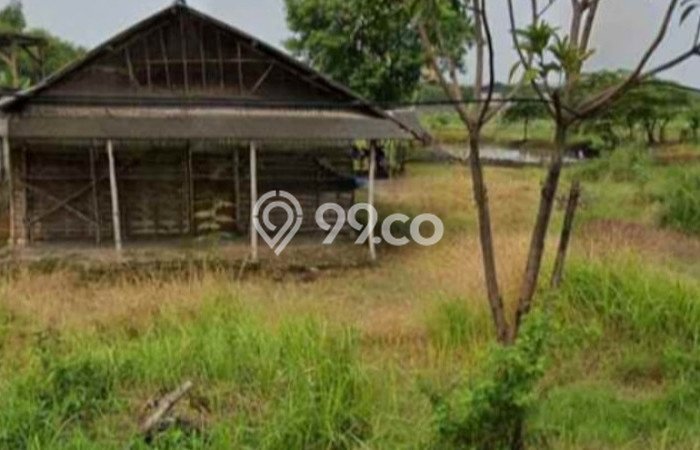 Tanah Dijual Lokasi Wringinanom, Gresik Luas 7250m2 Legalitas Aman Tanah Dijual Lokasi Wringinanom, Gresik Luas 7250m2 Legalitas Aman