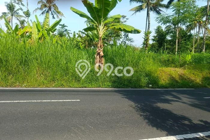 Untuk Dijual Tanah di Argomulyo Salatiga Luas 25000m2 SHM Untuk Dijual Tanah di Argomulyo Salatiga Luas 25000m2 SHM