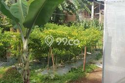 Kavling Tanah Dijual di Cipayung Jakarta Timur Spesifikasi 2923m2 Kavling Tanah Dijual di Cipayung Jakarta Timur Spesifikasi 2923m2