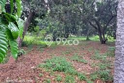 Kavling Tanah Dijual di Cileungsi Bogor Spesifikasi 3000m2 Kavling Tanah Dijual di Cileungsi Bogor Spesifikasi 3000m2
