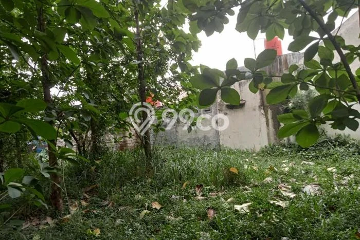 Lahan Dijual Lokasi Cibinong, Bogor dengan Luas Tanah 800m2 dan Status SHM Lahan Dijual Lokasi Cibinong, Bogor dengan Luas Tanah 800m2 dan Status SHM