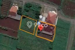 Kavling Tanah Dijual di Dramaga Bogor Spesifikasi 1000m2 Kavling Tanah Dijual di Dramaga Bogor Spesifikasi 1000m2