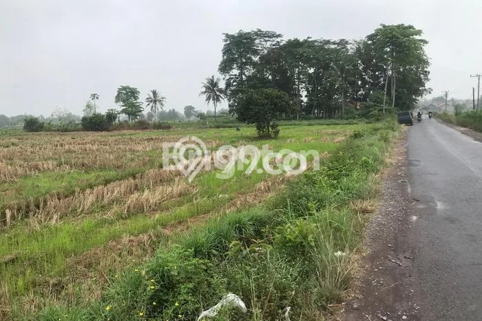 Lahan untuk Dijual Lokasi Jati Agung, Lampung Selatan Luas 8000m2 SHM Lahan untuk Dijual Lokasi Jati Agung, Lampung Selatan Luas 8000m2 SHM