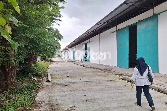 Gudang Disewakan di Kawasan Ramai Panjang, Bandar Lampung Gudang Disewakan di Kawasan Ramai Panjang, Bandar Lampung