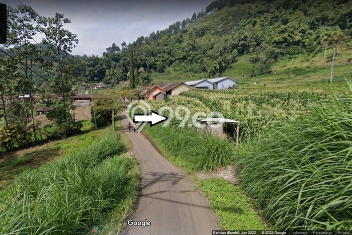 Tanah Kavling di Bumiaji Dijual dengan Luas 1004m2 Tanah Kavling di Bumiaji Dijual dengan Luas 1004m2