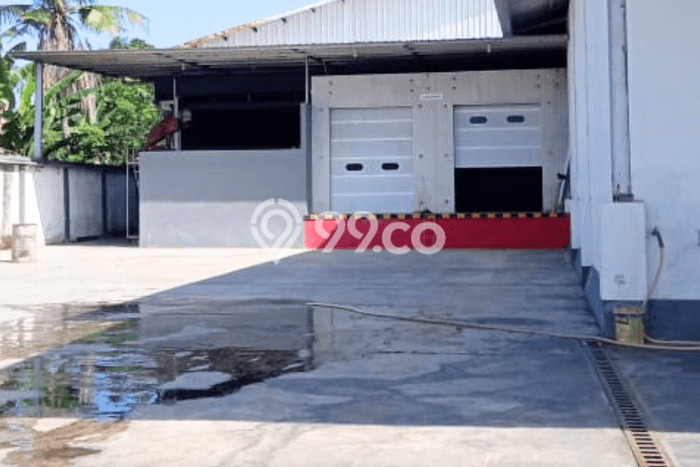Lokasi Strategis! Dijual Pabrik Bisnis di Muncar, Banyuwangi Kondisi Baik Lokasi Strategis! Dijual Pabrik Bisnis di Muncar, Banyuwangi Kondisi Baik