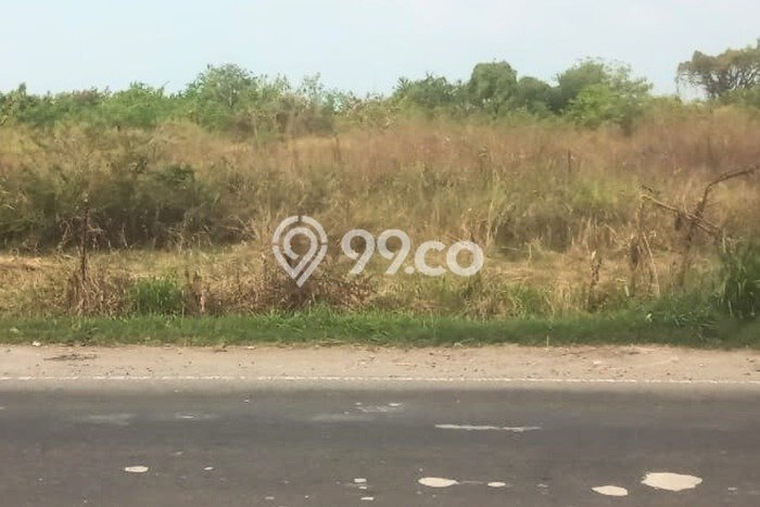 Kavling Tanah Dijual di Manyar, Gresik, Luas 37000m2 Area Strategis Kavling Tanah Dijual di Manyar, Gresik, Luas 37000m2 Area Strategis