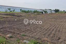 Jarang Ada! Tanah di Driyorejo Punya Luas 46000m2 - Jarang Ada! Tanah di Driyorejo Punya Luas 46000m2 -