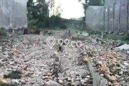 Tanah Lokasi Strategis Kawasan Driyorejo, Luas 1036m2m², Akses ke Pusat Kota, Akses Driyorejo, Gresik, Gresik Tanah Lokasi Strategis Kawasan Driyorejo, Luas 1036m2m², Akses ke Pusat Kota, Akses Driyorejo, Gresik, Gresik