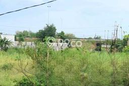 Tanah Dijual Lokasi Tambak Gresik SHM Tanah Dijual Lokasi Tambak Gresik SHM