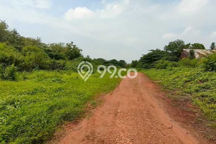 Tanah Kavling untuk Dijual di Jatiwangi Majalengka 28000m2 Tanah Kavling untuk Dijual di Jatiwangi Majalengka 28000m2