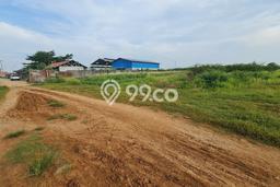 Tanah Kavling untuk Dijual di Pangenan Cirebon 30000m2 Tanah Kavling untuk Dijual di Pangenan Cirebon 30000m2