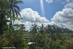 HARGA MENARIK! Tanah di Ubud, Luas 1100m2m², Kawasan Potensial, Bebas Banjir HARGA MENARIK! Tanah di Ubud, Luas 1100m2m², Kawasan Potensial, Bebas Banjir