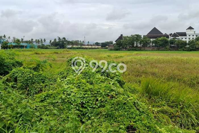 Kavling Tanah di Cilegon Dijual Luas 10410m2 Legalitas Hak Pakai Kavling Tanah di Cilegon Dijual Luas 10410m2 Legalitas Hak Pakai