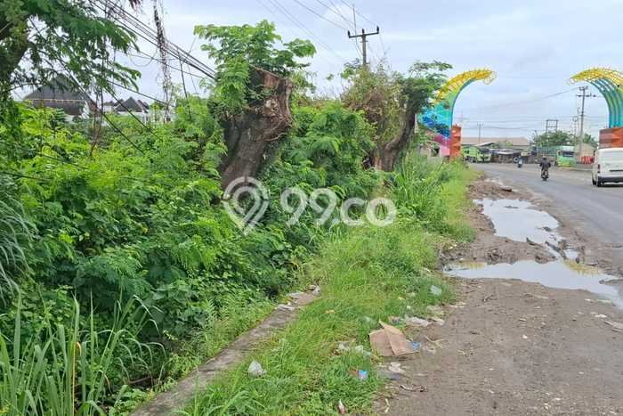 Kavling Tanah di Cilegon Dijual Luas 10410m2 Legalitas Hak Pakai Kavling Tanah di Cilegon Dijual Luas 10410m2 Legalitas Hak Pakai