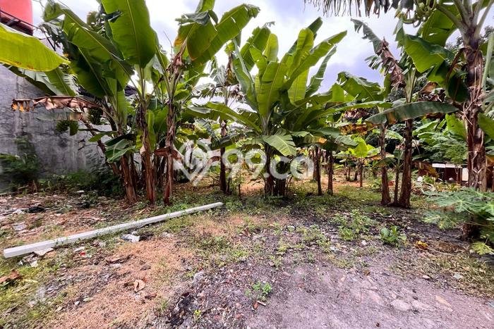 Jarang Ada! Tanah di Kebayoran Baru Punya Luas 1633m2 - Jarang Ada! Tanah di Kebayoran Baru Punya Luas 1633m2 -