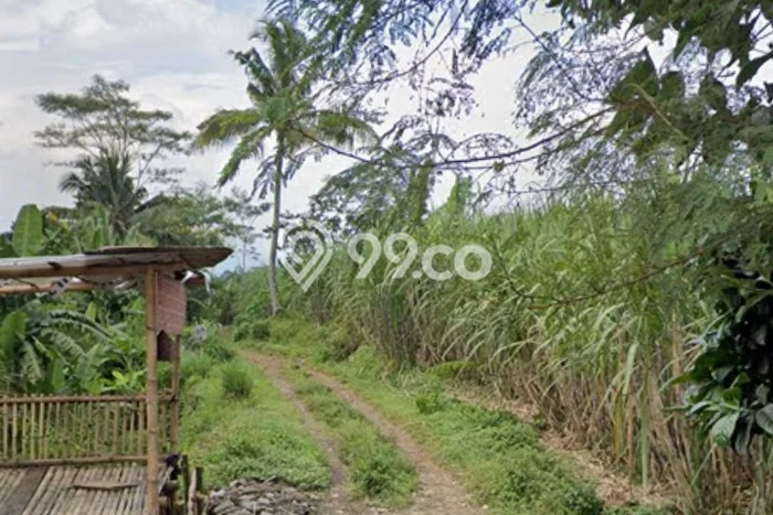 Kavling Tanah Dijual di Wagir, Malang, Luas 1088m2 Area Strategis Kavling Tanah Dijual di Wagir, Malang, Luas 1088m2 Area Strategis