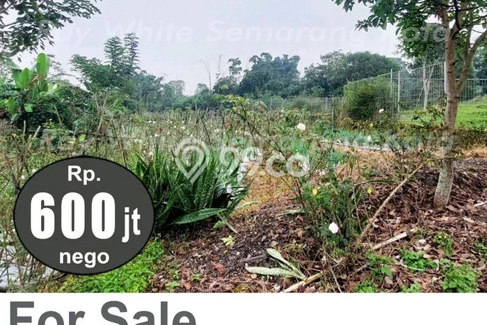 Tanah Dijual Lokasi Bandungan, Semarang dengan Luas Tanah 598m2 dan Status SHM Tanah Dijual Lokasi Bandungan, Semarang dengan Luas Tanah 598m2 dan Status SHM