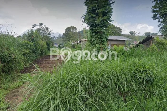Tanah Dijual Lokasi Pujon, Malang Luas 1000m2 Legalitas Aman Tanah Dijual Lokasi Pujon, Malang Luas 1000m2 Legalitas Aman